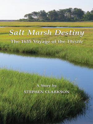 cover image of Salt Marsh Destiny: the 1635 Voyage of the Thistle